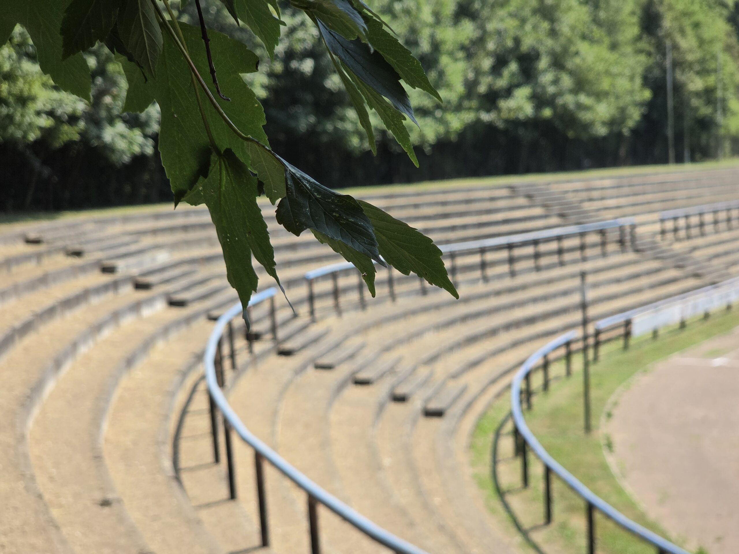 Skatbank-Arena, Altenburg