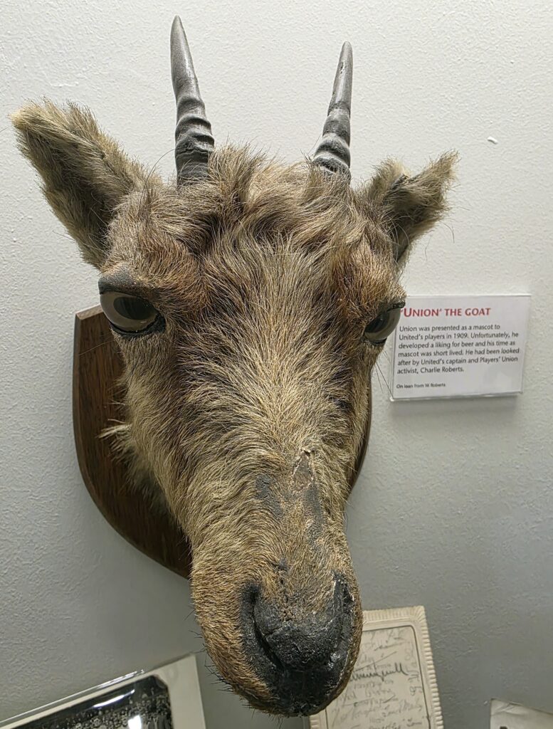 Im Vereinsmuseum von Manchester United